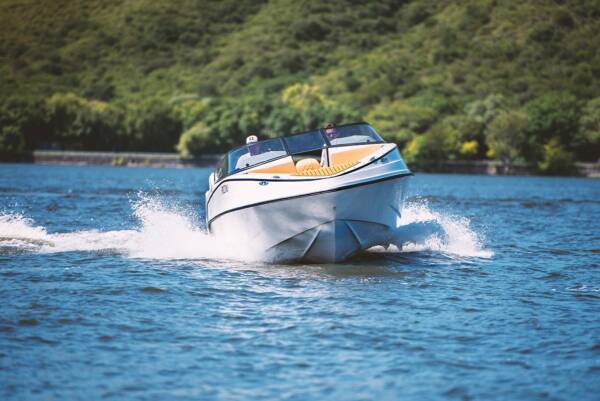 Piccini - Modelo 229 - Image 6