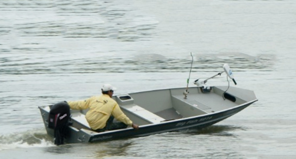 Big Fish 5014